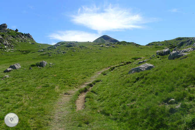 Pic Arlas (2.044m) des del coll de la Piedra de San Martín 1 