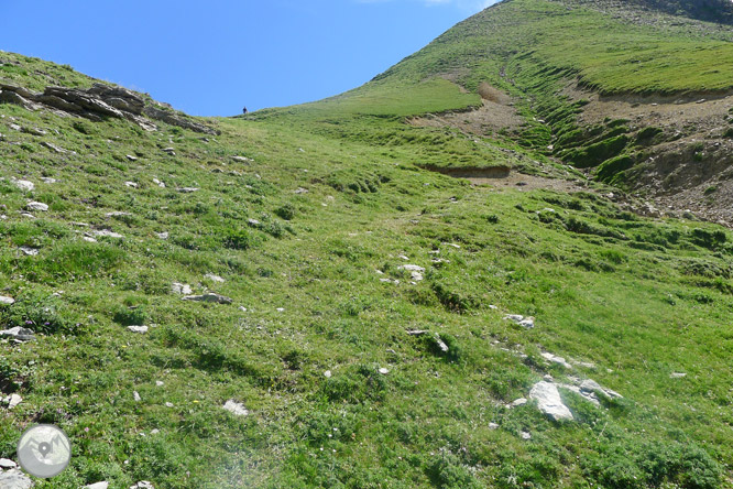 Pic Arlas (2.044m) des del coll de la Piedra de San Martín 1 