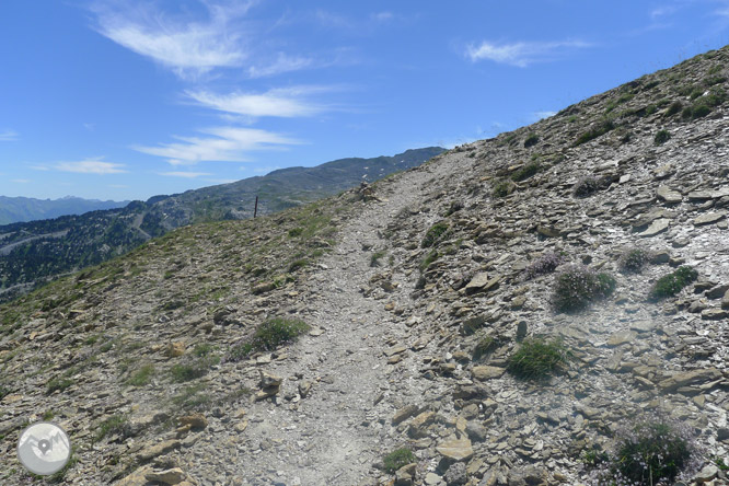 Pic Arlas (2.044m) des del coll de la Piedra de San Martín 1 