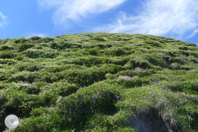 Pic Arlas (2.044m) des del coll de la Piedra de San Martín 1 