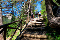 Pugem per un bonic bosc mixt amb predomini de pi negre i avet.