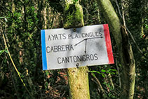 Cartell indicatiu “Cabrera - Pla d’Aiats - Cantonigrós”.