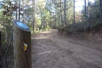 El corriol surt a una pista per on continuem.