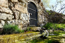 Font del coll de Pallers.