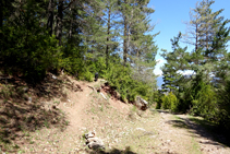 Corriol cap al coll de Pallers.