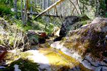 Torrent camí a coll de Pallers.