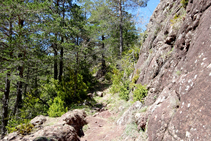 Terres vermelloses de la serra del Cadí.