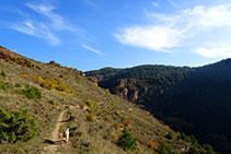 Ens apropem al torrent de Feló.