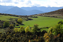 Camps de la casa d´Orèn i al fons la cara nord del Cadí.