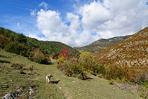 Iniciem la pujada al costat del torrent de la Borda.