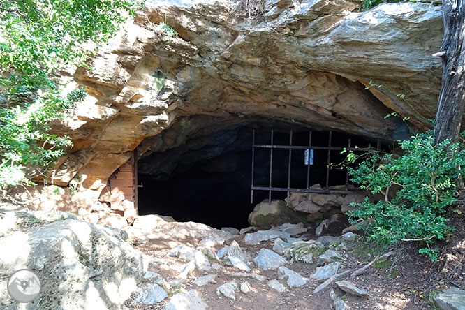 La cova d