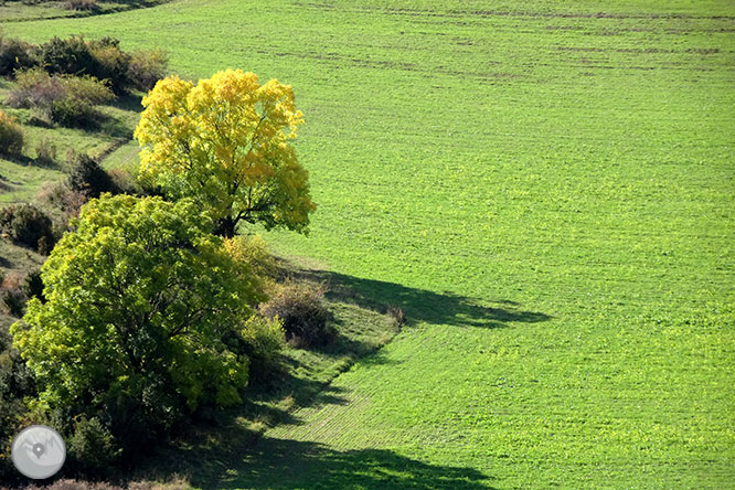 La cova d