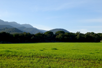 Camps de cereals i les muntanyes de Rocacorba.