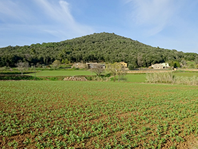 El volcà del puig d´Adri