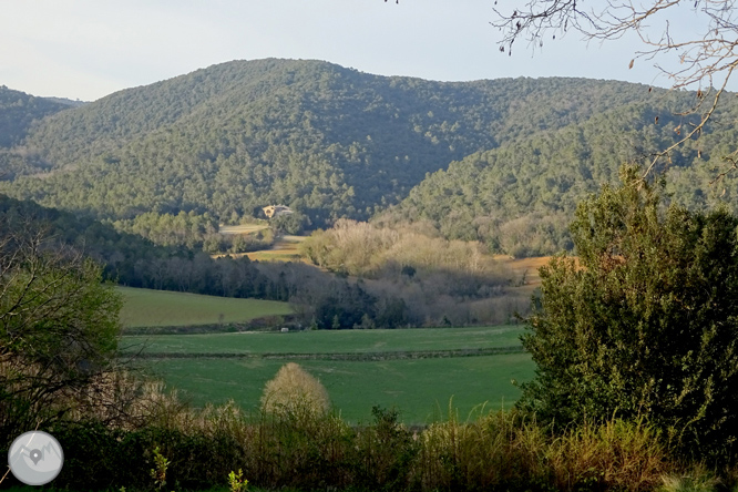 El volcà del puig d