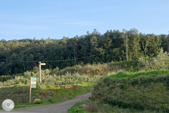 El volcà del puig d