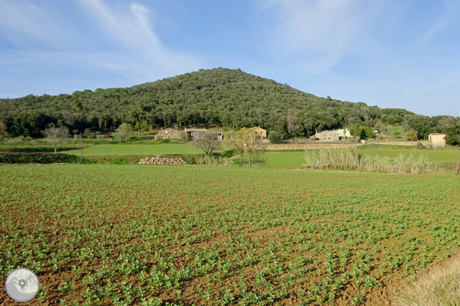 El volcà del puig d