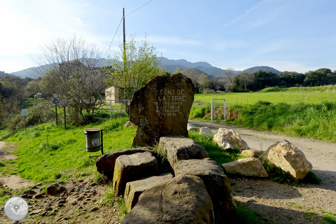 El volcà del puig d