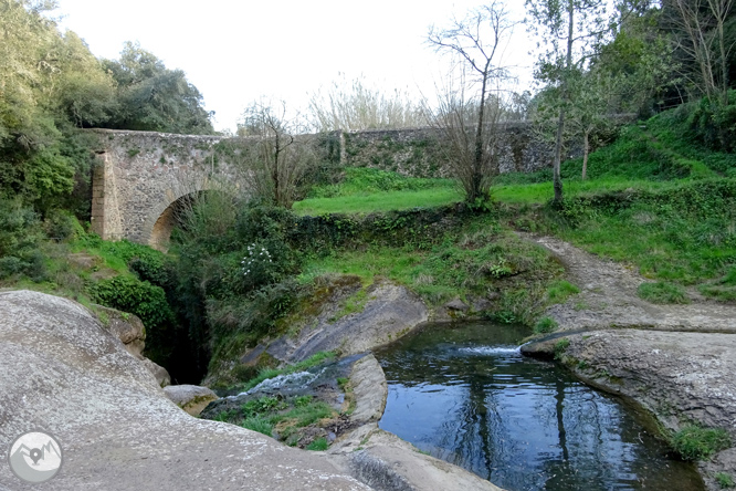 El volcà del puig d