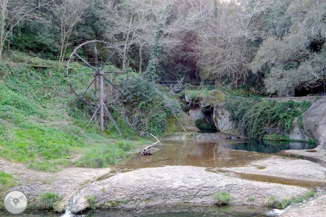 El volcà del puig d