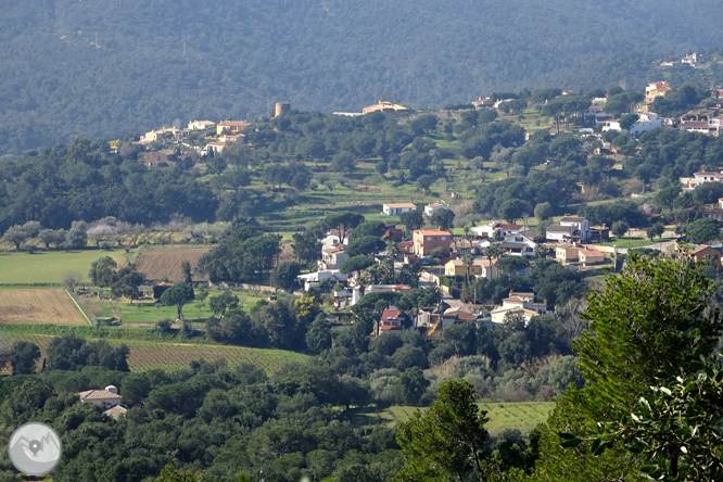 Puig Cargol i la plana calongina 1 