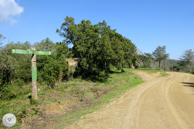 Puig Cargol i la plana calongina 1 