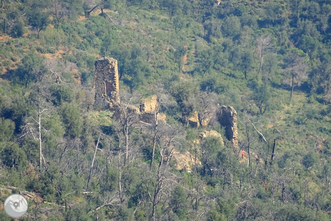 Puig Cargol i la plana calongina 1 