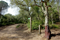 Seguim les indicacions cap al puig de Cadiretes.