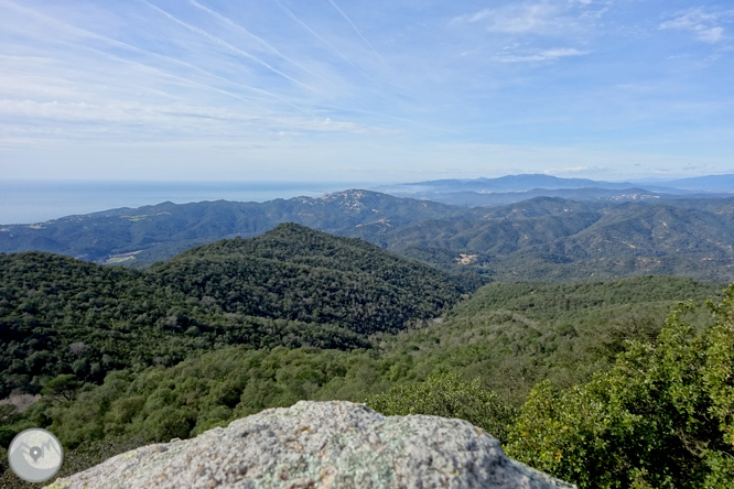 Puig de Cadiretes (519m) a l