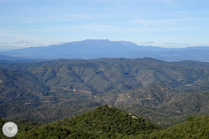 Puig de Cadiretes (519m) a l