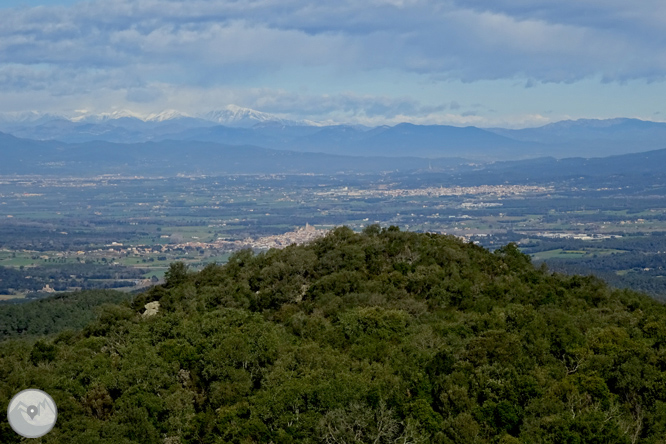 Puig de Cadiretes (519m) a l