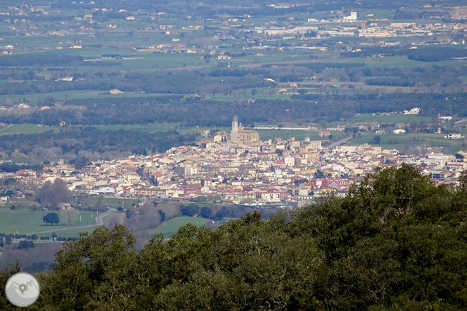 Puig de Cadiretes (519m) a l