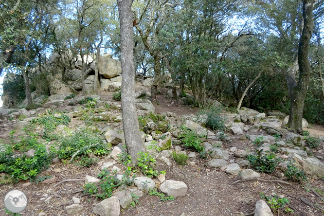 Puig de Cadiretes (519m) a l