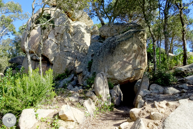 Puig de Cadiretes (519m) a l