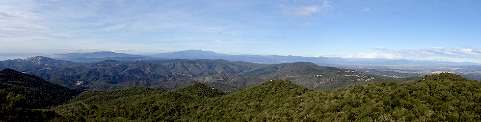 Puig de Cadiretes (519m) a l´Ardenya