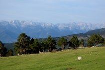 Vistes de la imponent cara nord de la serra del Cadí.