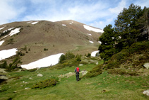 Mica en mica perdem altura i ens apropem al fons de la vall.