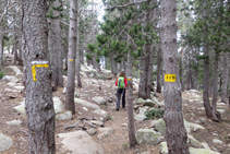 Seguim la senyalització de la xarxa de senders de la Cerdanya.