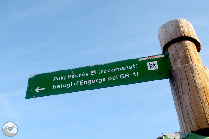 Puigpedrós (2.915m) per Engorgs des del refugi de Malniu 1 