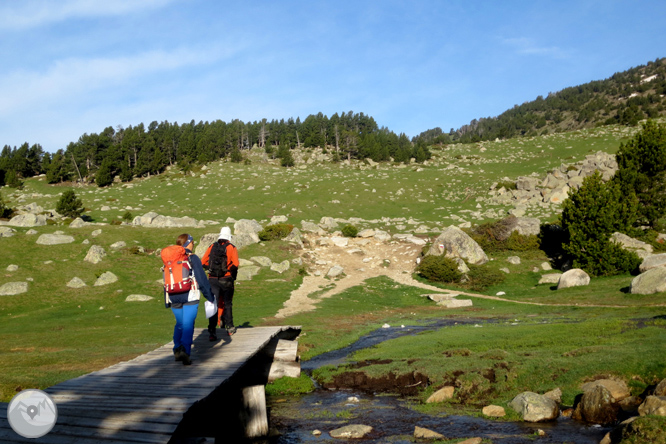 Puigpedrós (2.915m) per Engorgs des del refugi de Malniu 1 