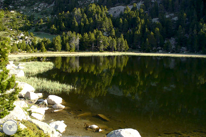 Puigpedrós (2.915m) per Engorgs des del refugi de Malniu 1 