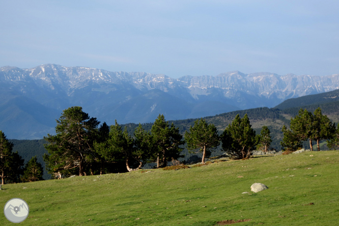 Puigpedrós (2.915m) per Engorgs des del refugi de Malniu 1 