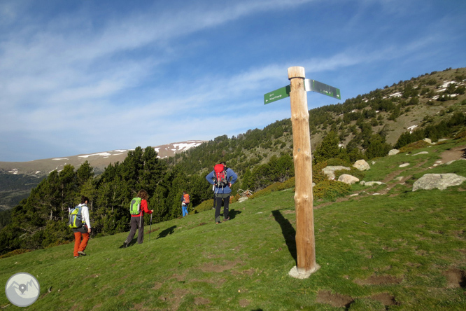 Puigpedrós (2.915m) per Engorgs des del refugi de Malniu 1 