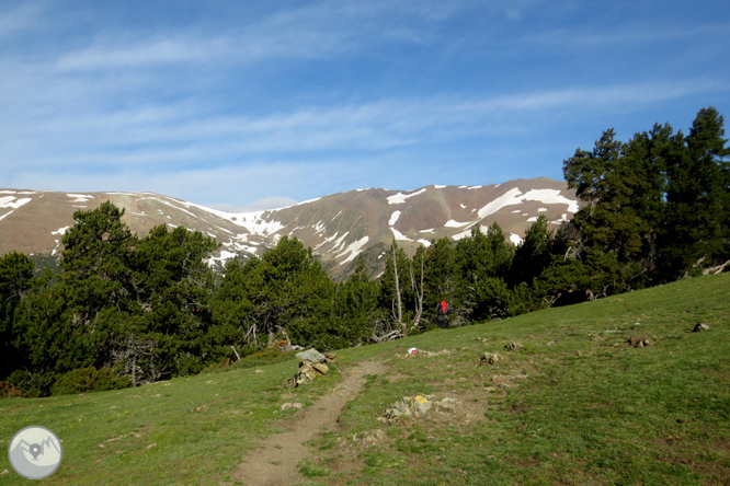 Puigpedrós (2.915m) per Engorgs des del refugi de Malniu 1 