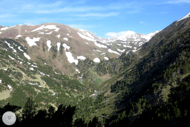 Puigpedrós (2.915m) per Engorgs des del refugi de Malniu 1 