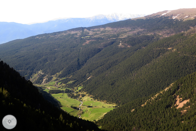 Puigpedrós (2.915m) per Engorgs des del refugi de Malniu 1 