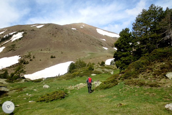 Puigpedrós (2.915m) per Engorgs des del refugi de Malniu 1 