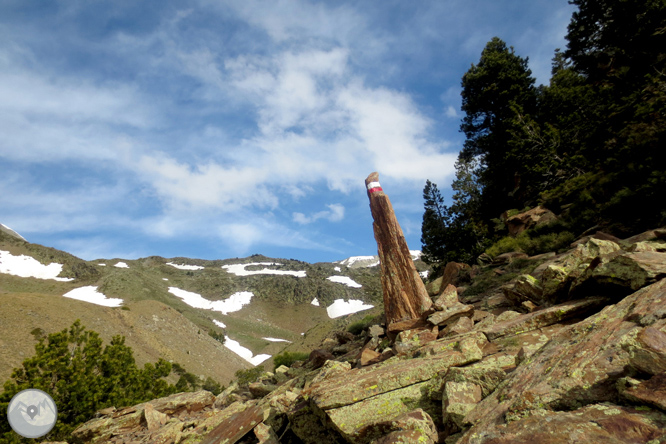 Puigpedrós (2.915m) per Engorgs des del refugi de Malniu 1 