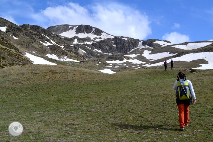 Puigpedrós (2.915m) per Engorgs des del refugi de Malniu 1 