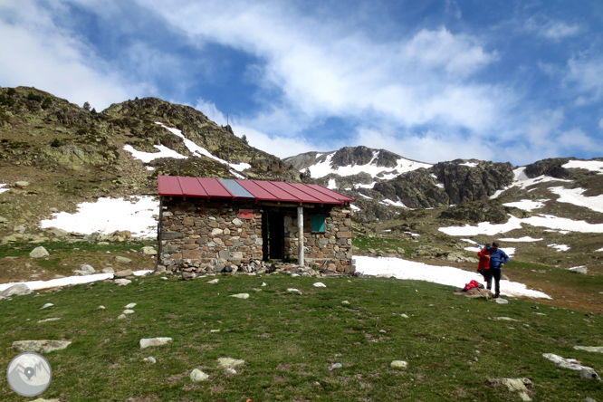 Puigpedrós (2.915m) per Engorgs des del refugi de Malniu 1 